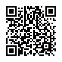 To view this 2008 Honda Fit Helena MT from Deals On Wheels - Great Falls, please scan this QR code with your smartphone or tablet to view the mobile version of this page.